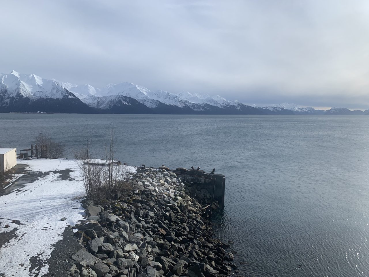 Seward-Alaska-Eye-Spy-Challenge-1280x960.jpg