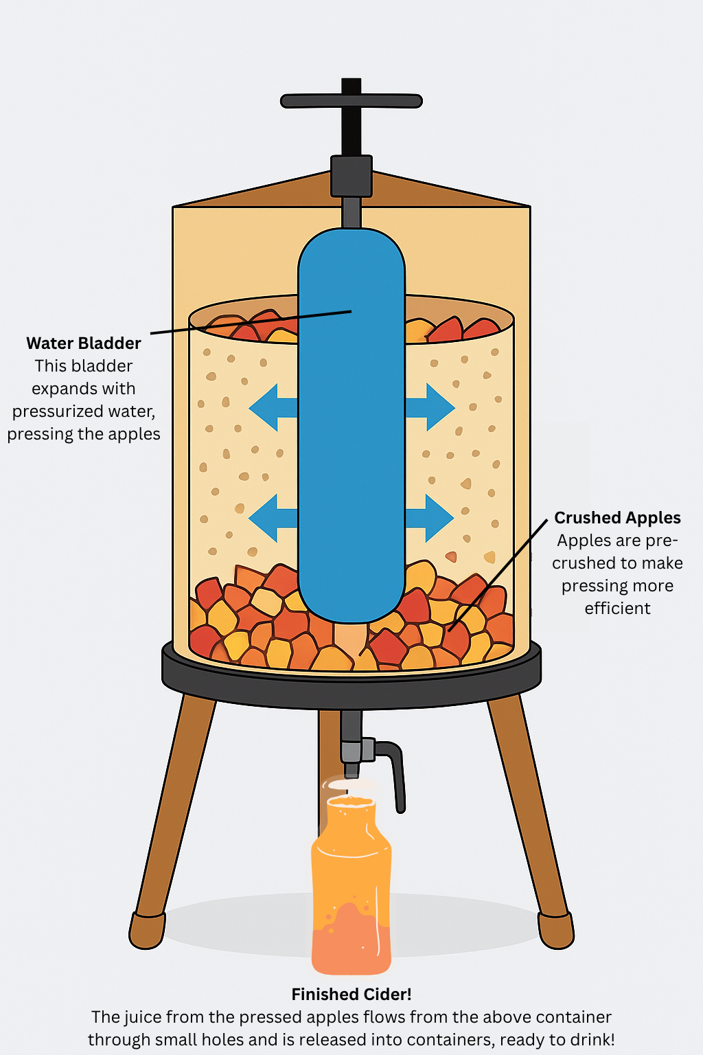 Water-Bladder-This-bladder-expands-with-pressurized-water-pressing-the-apples.png